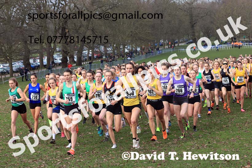 Senior Women, 2024 CAU Inter Counties Cross Country Champs., Wollaton Park, Nottingham. Photo: David T. Hewitson/Sports for All Pics